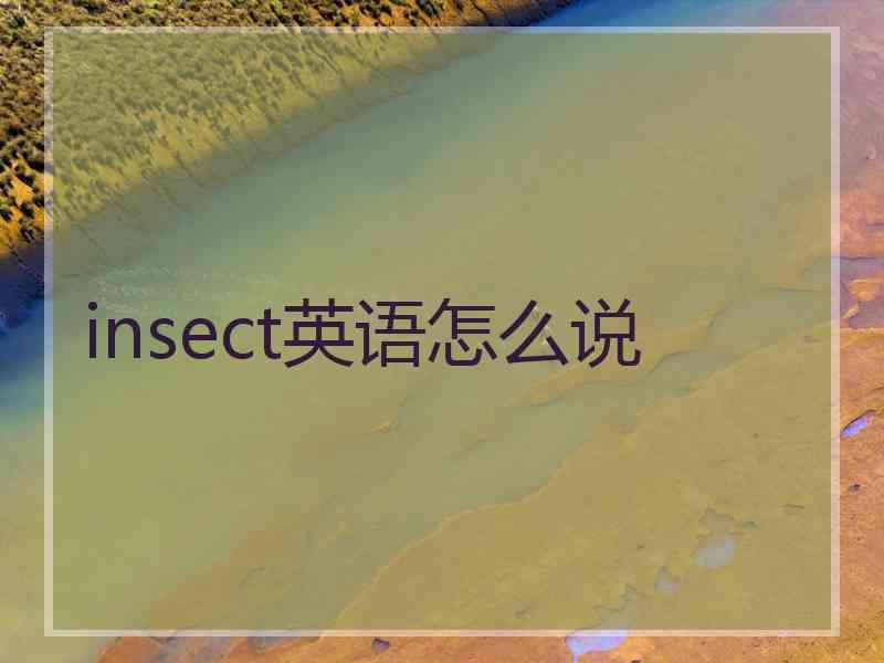 insect英语怎么说