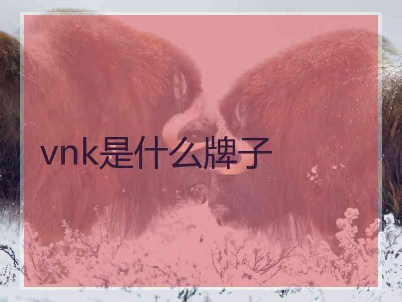 vnk是什么牌子