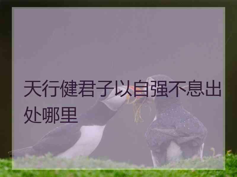 天行健君子以自强不息出处哪里