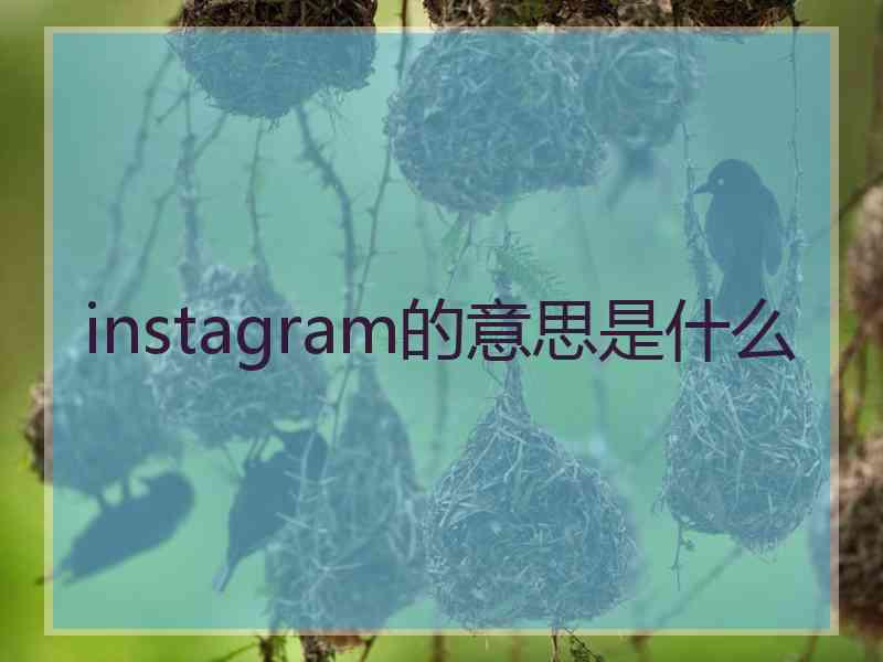 instagram的意思是什么