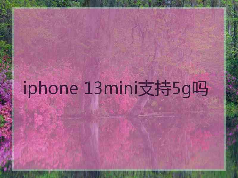 iphone 13mini支持5g吗