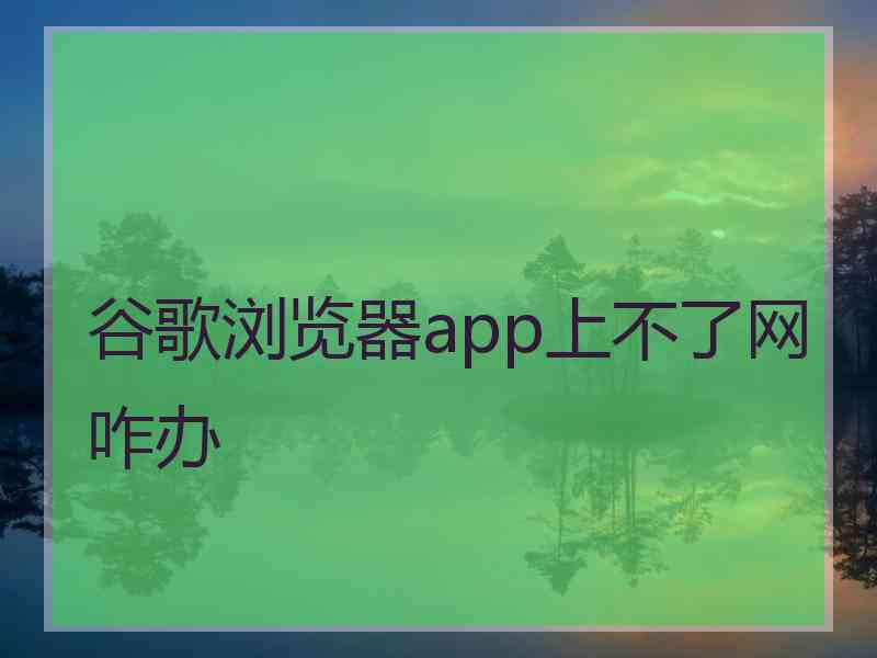 谷歌浏览器app上不了网咋办