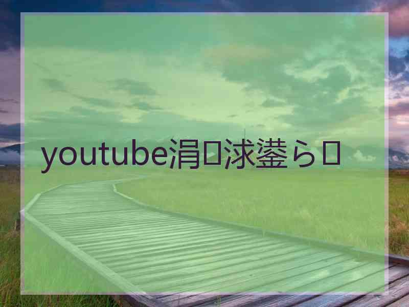 youtube涓浗鍙ら