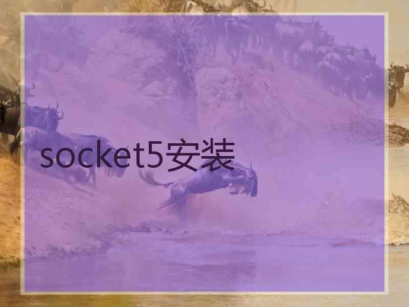 socket5安装