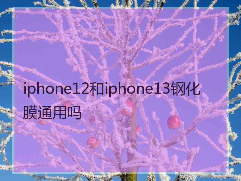 iphone12和iphone13钢化膜通用吗