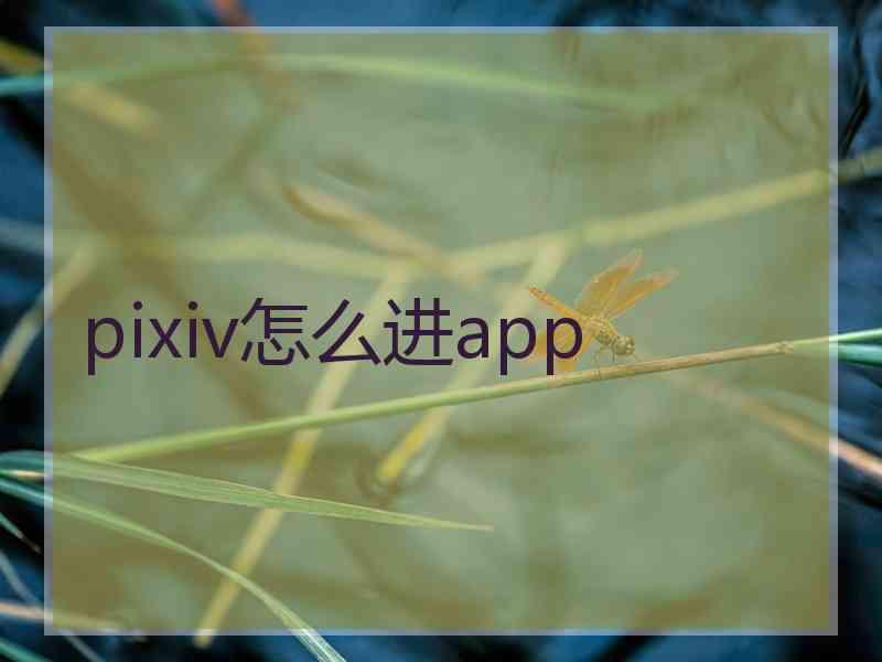 pixiv怎么进app