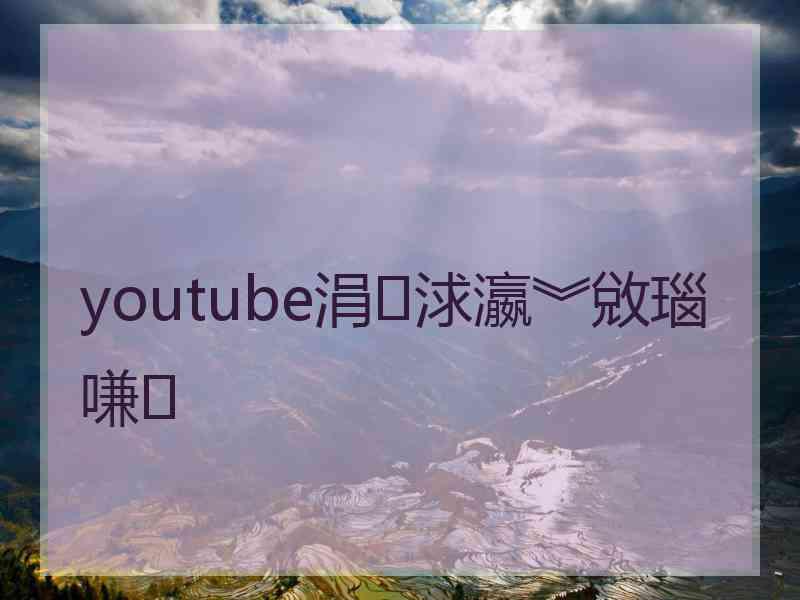 youtube涓浗瀛︾敓瑙嗛