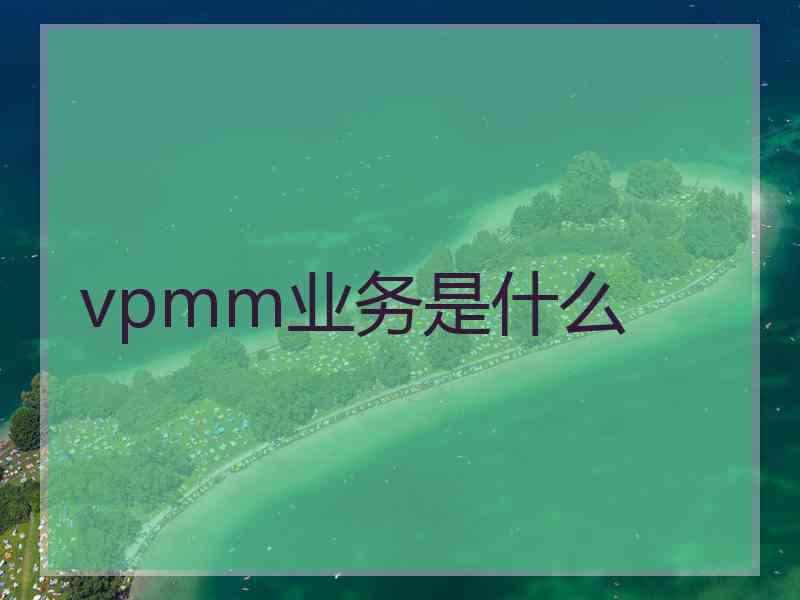 vpmm业务是什么