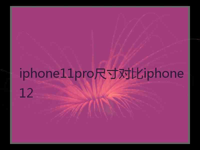 iphone11pro尺寸对比iphone12