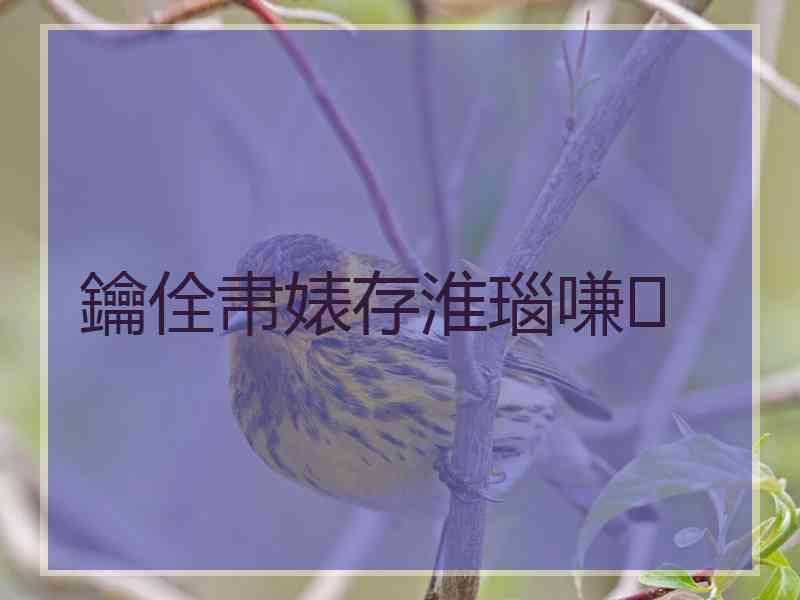 鑰佺帇婊存淮瑙嗛