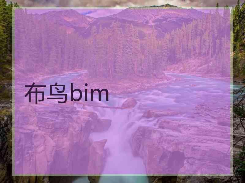 布鸟bim