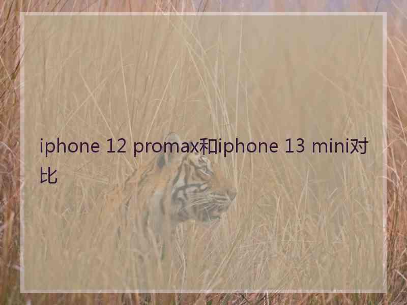 iphone 12 promax和iphone 13 mini对比