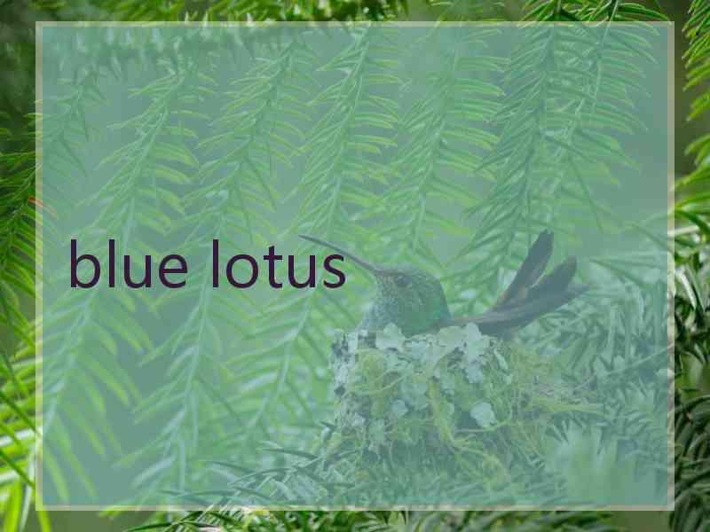 blue lotus