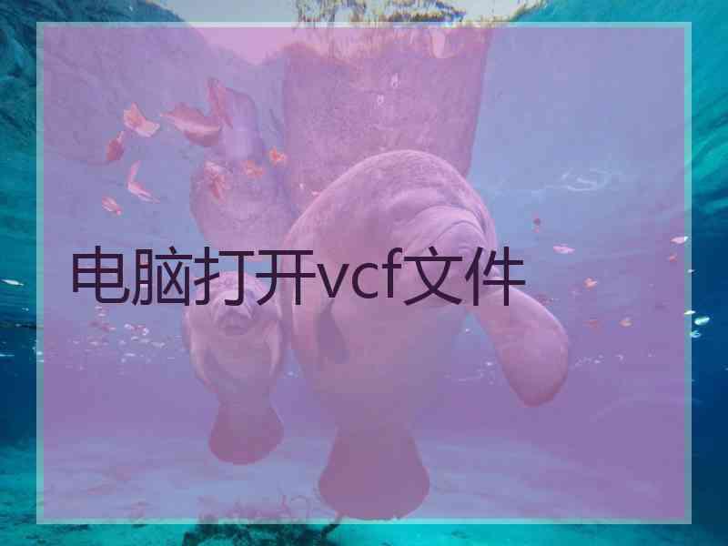 电脑打开vcf文件