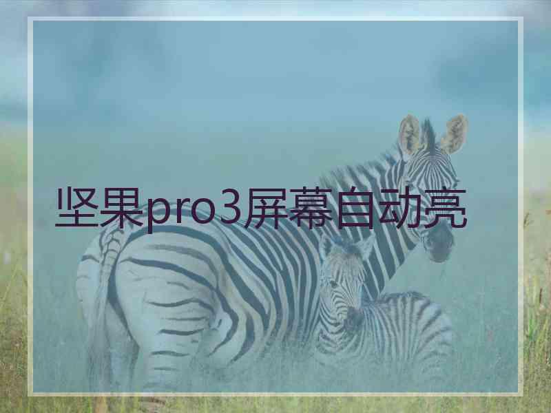 坚果pro3屏幕自动亮