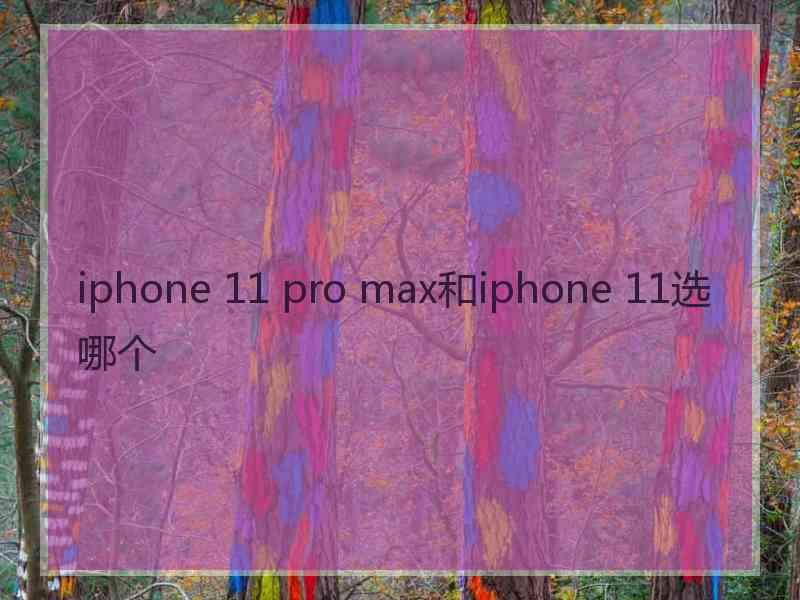 iphone 11 pro max和iphone 11选哪个