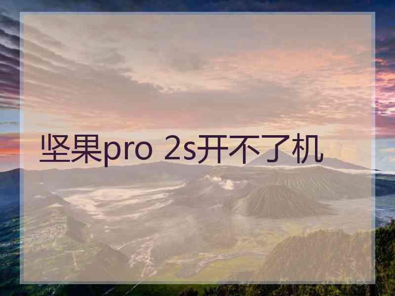 坚果pro 2s开不了机