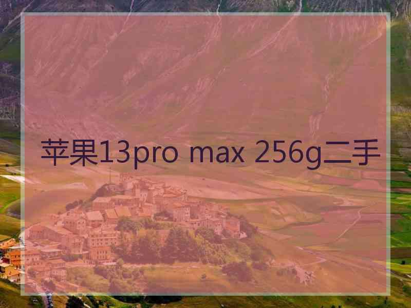 苹果13pro max 256g二手