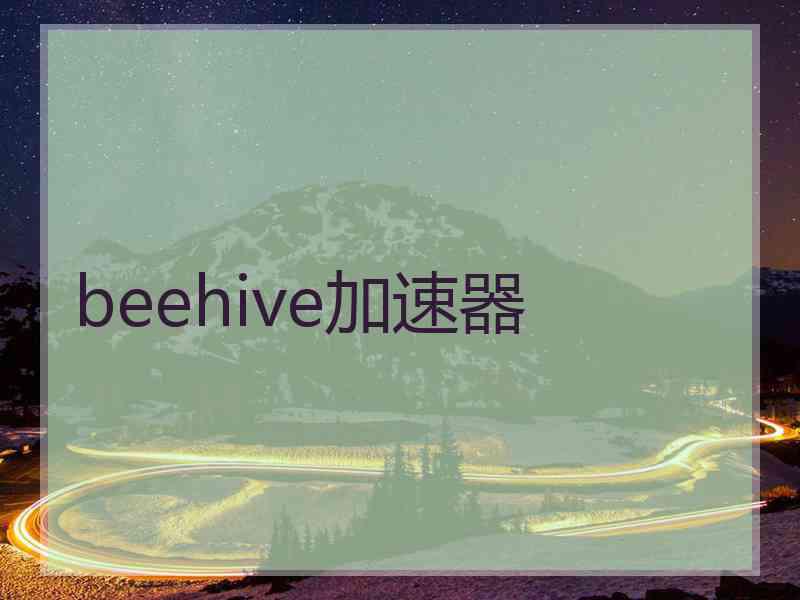 beehive加速器