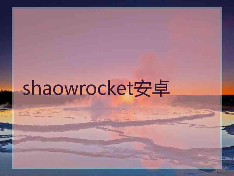 shaowrocket安卓