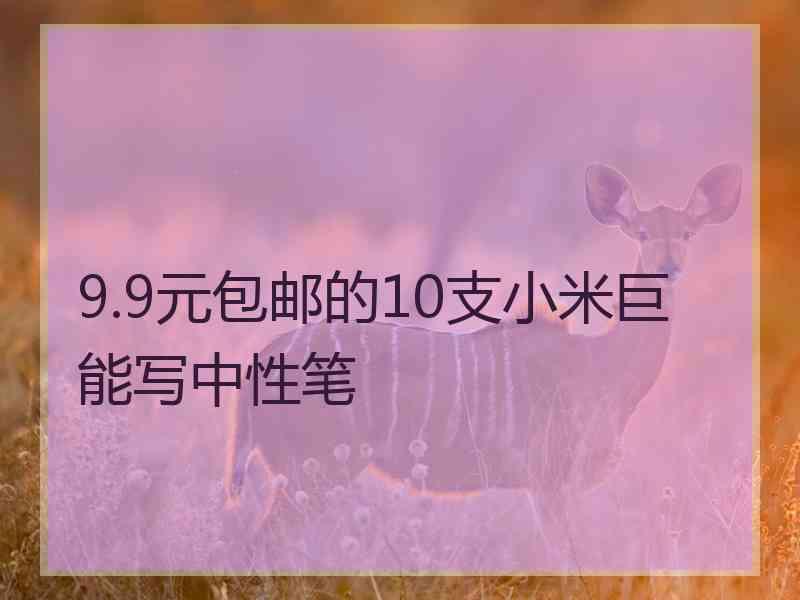 9.9元包邮的10支小米巨能写中性笔