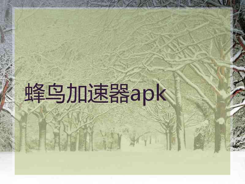 蜂鸟加速器apk