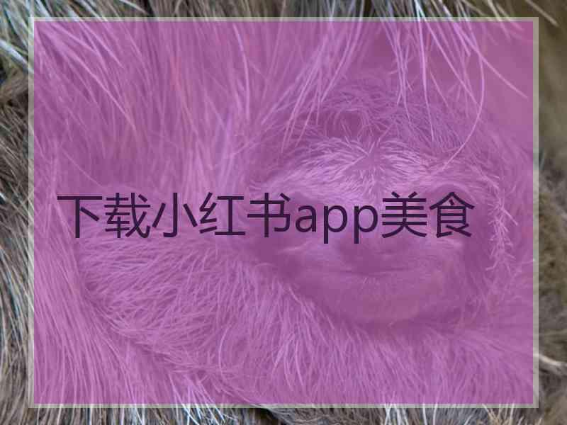 下载小红书app美食