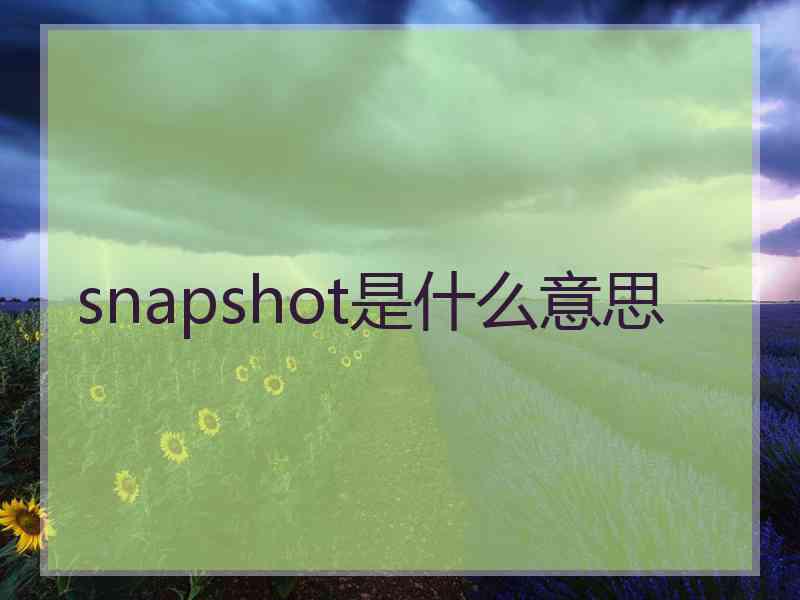 snapshot是什么意思