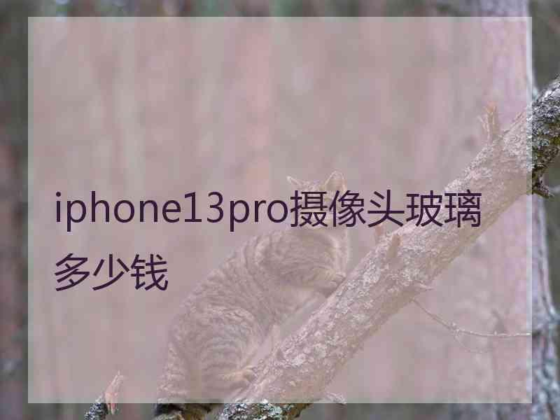 iphone13pro摄像头玻璃多少钱