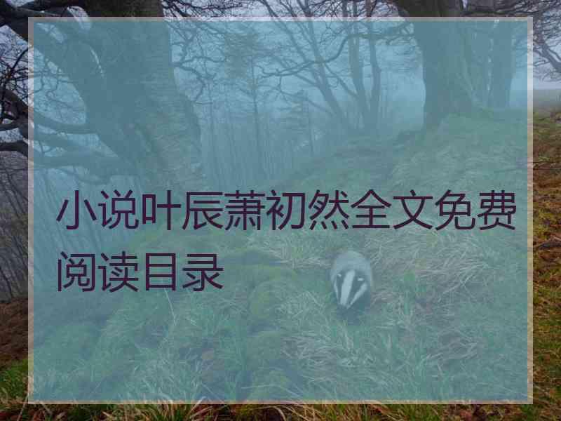 小说叶辰萧初然全文免费阅读目录