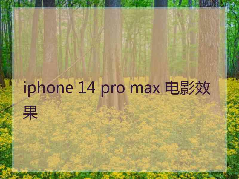 iphone 14 pro max 电影效果