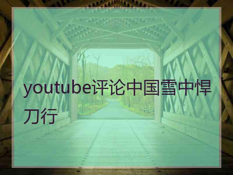 youtube评论中国雪中悍刀行