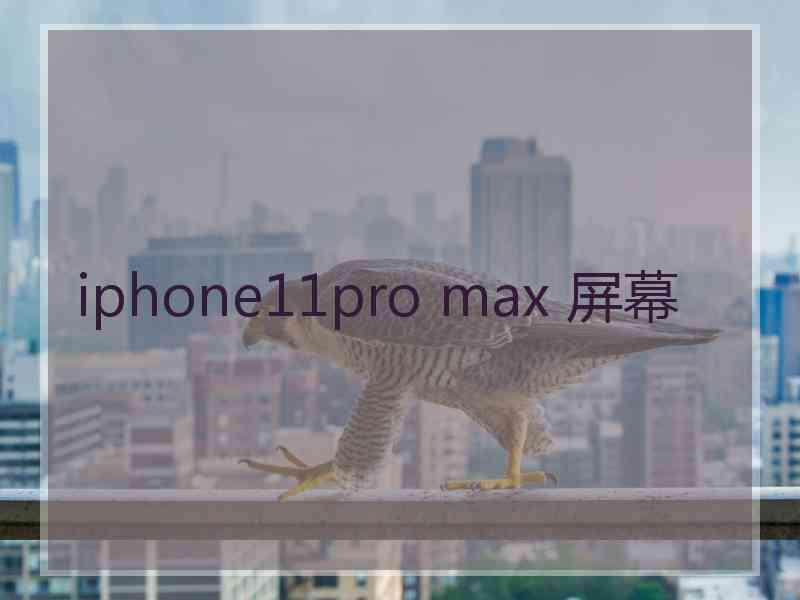 iphone11pro max 屏幕