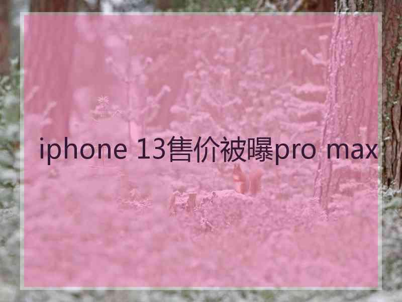 iphone 13售价被曝pro max