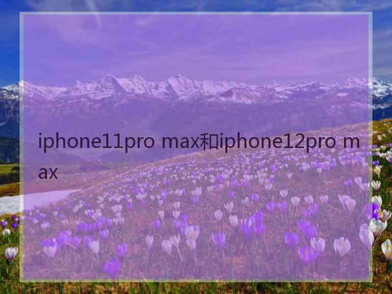 iphone11pro max和iphone12pro max