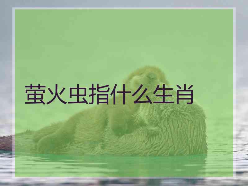 萤火虫指什么生肖