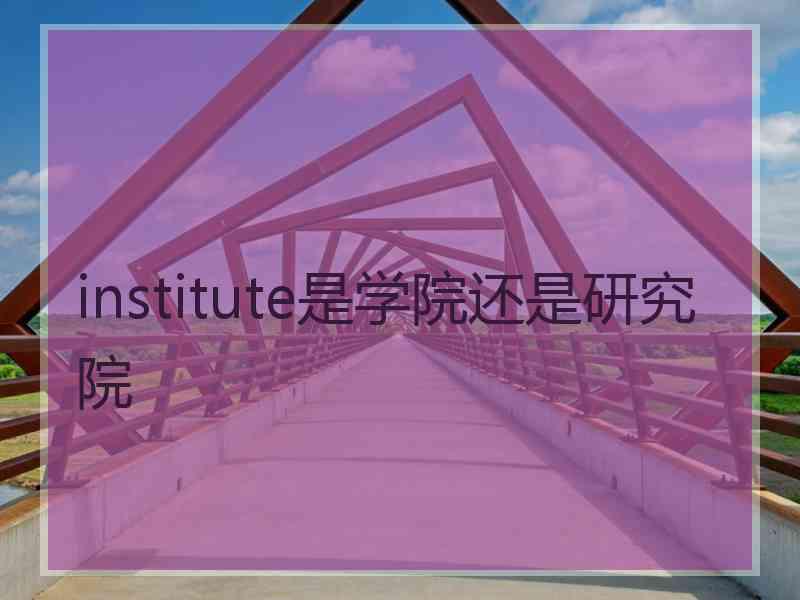 institute是学院还是研究院