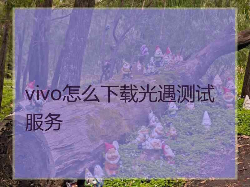 vivo怎么下载光遇测试服务