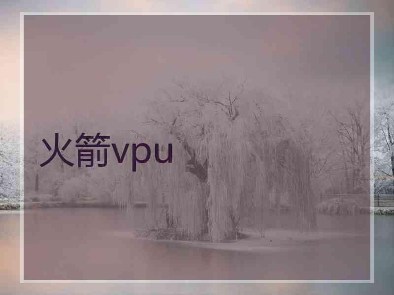 火箭vpu