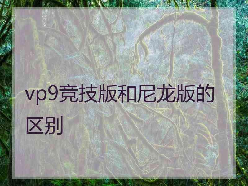 vp9竞技版和尼龙版的区别