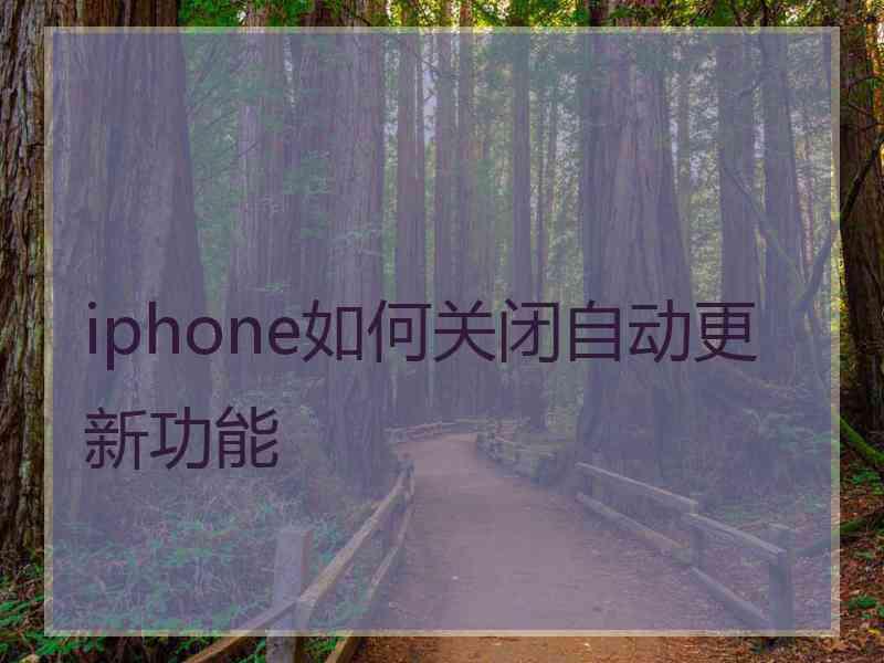 iphone如何关闭自动更新功能