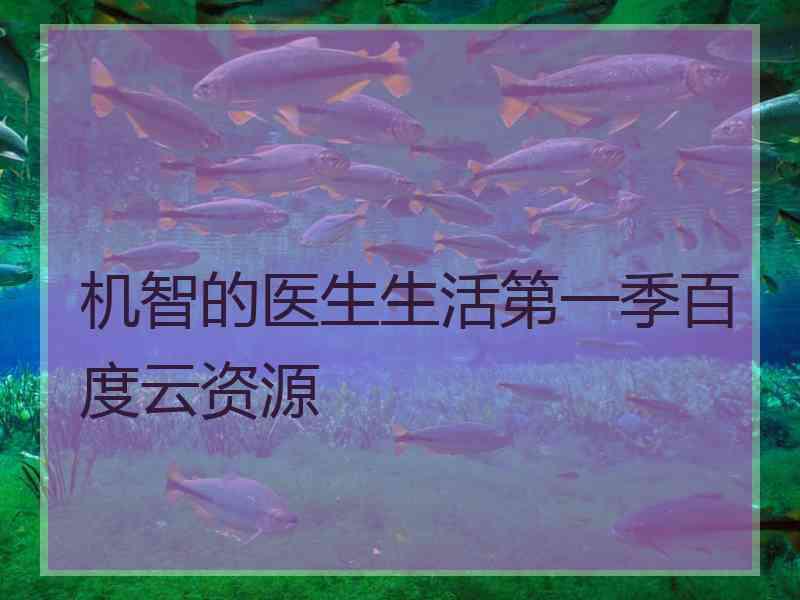 机智的医生生活第一季百度云资源