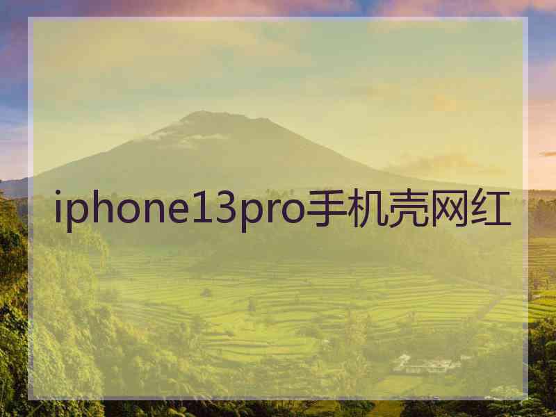 iphone13pro手机壳网红