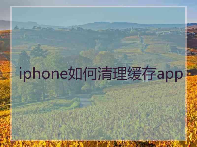 iphone如何清理缓存app