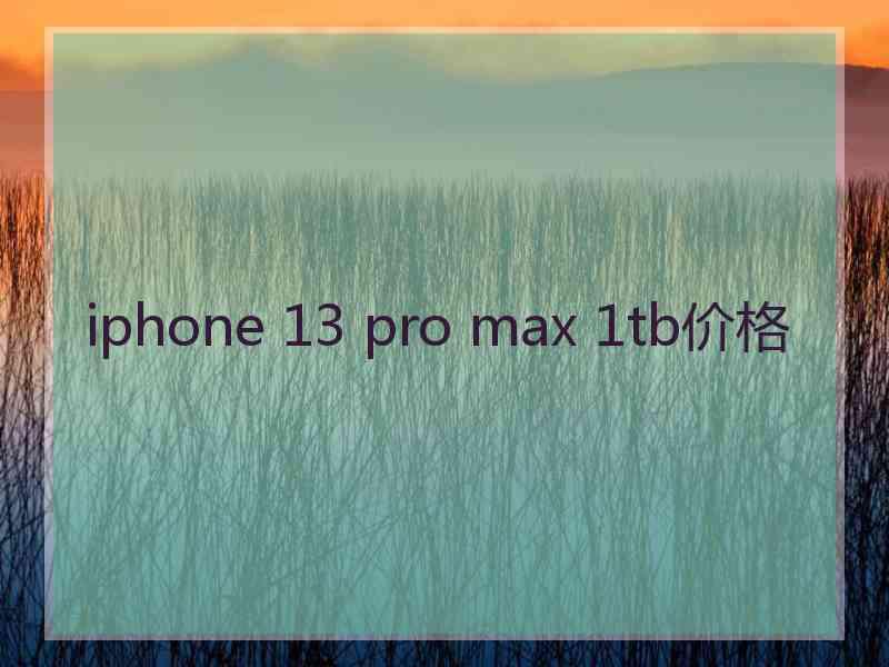 iphone 13 pro max 1tb价格