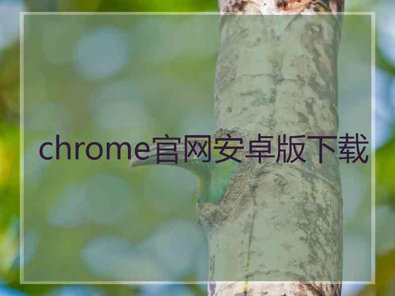 chrome官网安卓版下载