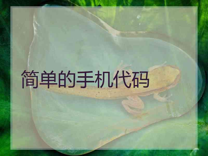 简单的手机代码