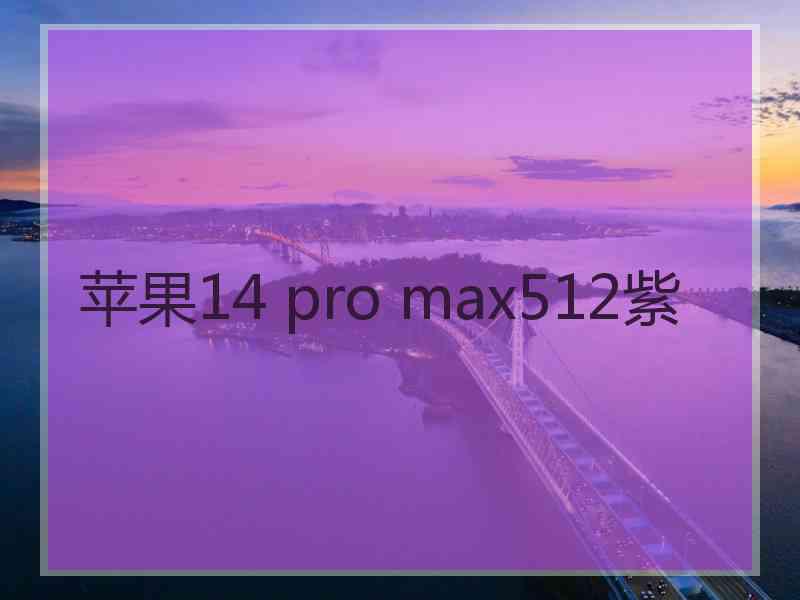 苹果14 pro max512紫