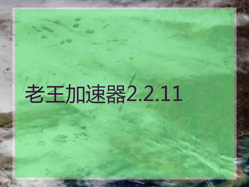 老王加速器2.2.11