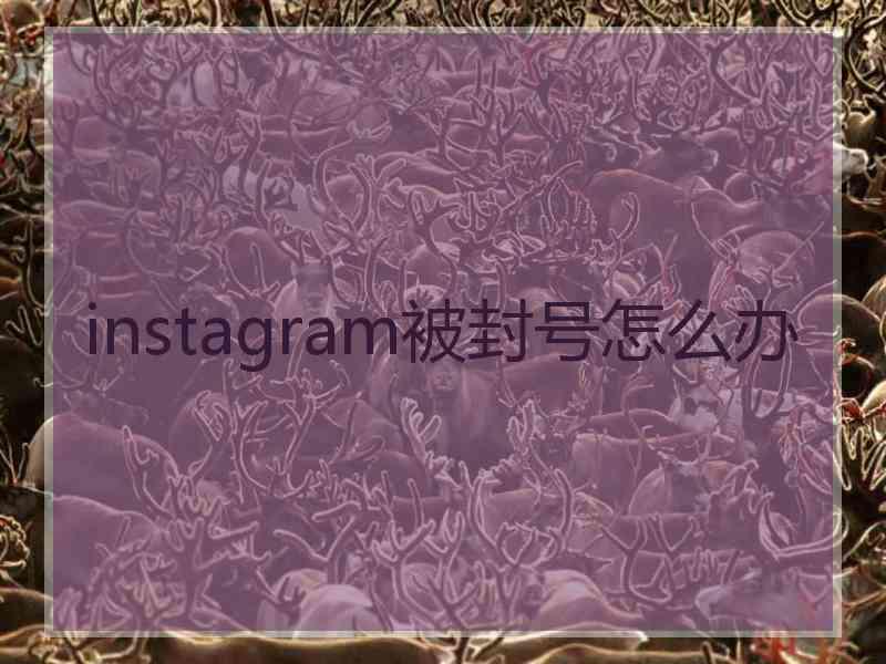 instagram被封号怎么办